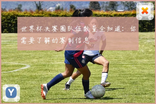 世界杯决赛圈队伍数量全知道：你需要了解的赛制信息