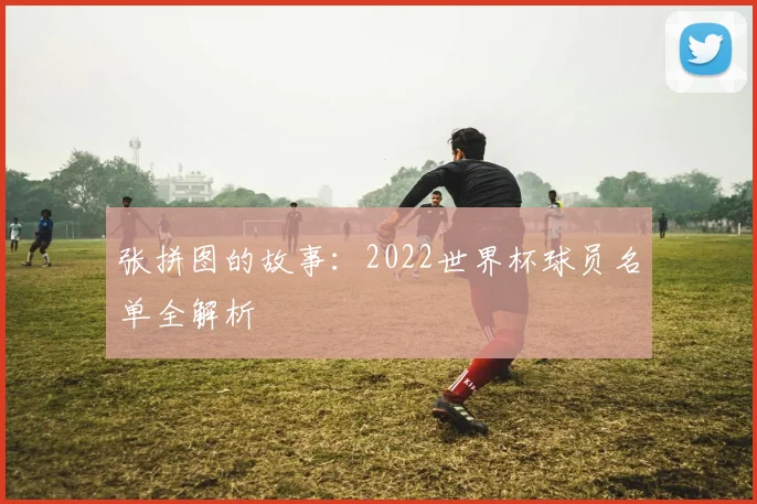 张拼图的故事：2022世界杯球员名单全解析
